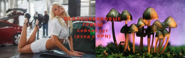 ГАЛЛЮЦИНОГЕННЫЕ ГРИБЫ Медвежьегорск