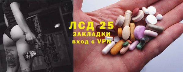 ГАЛЛЮЦИНОГЕННЫЕ ГРИБЫ Медвежьегорск