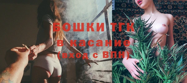 ГАЛЛЮЦИНОГЕННЫЕ ГРИБЫ Медвежьегорск