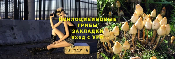 ГАЛЛЮЦИНОГЕННЫЕ ГРИБЫ Медвежьегорск