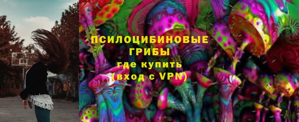 ГАЛЛЮЦИНОГЕННЫЕ ГРИБЫ Медвежьегорск