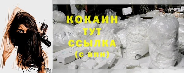 ГАЛЛЮЦИНОГЕННЫЕ ГРИБЫ Медвежьегорск