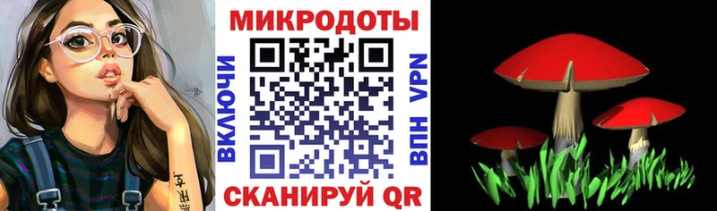что такое   Ноябрьск  МЕГА как войти  Псилоцибиновые грибы Psilocybe 