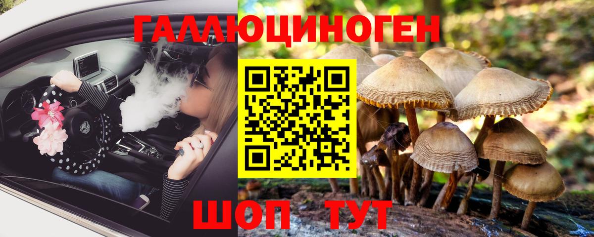 купить наркотики сайты  Псилоцибиновые грибы GOLDEN TEACHER  Вход с VPN  Ноябрьск 