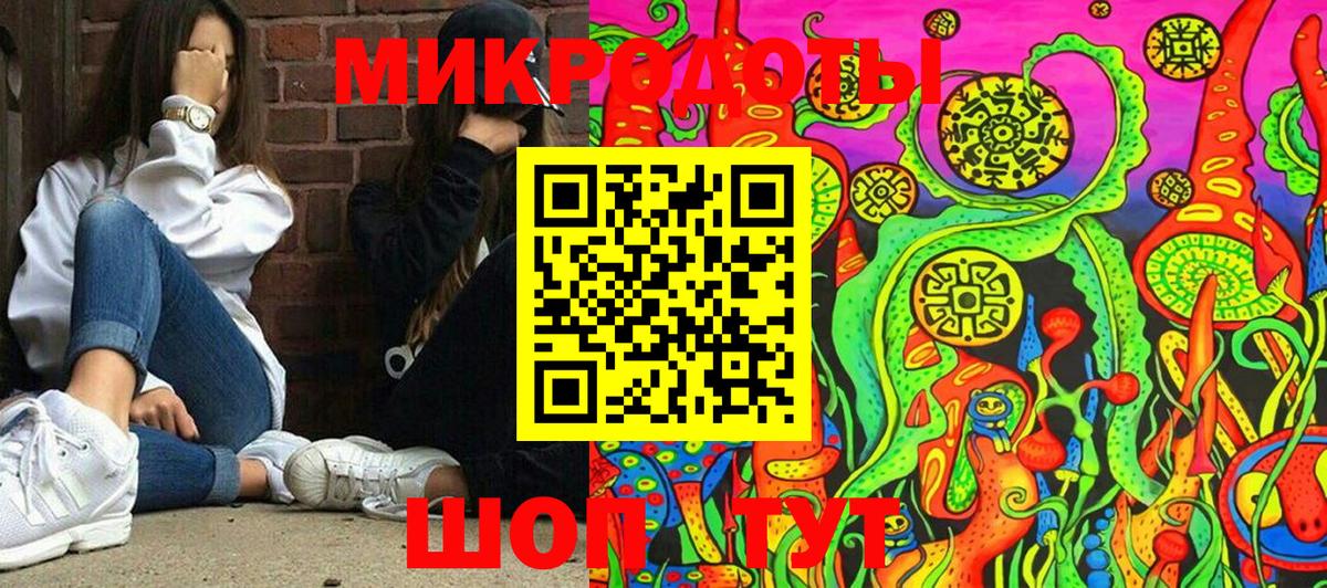 Галлюциногенные грибы Psilocybe Ноябрьск